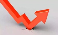 林园投资下调跟投比例 由20%下调至10% 这让投资人咋理解？